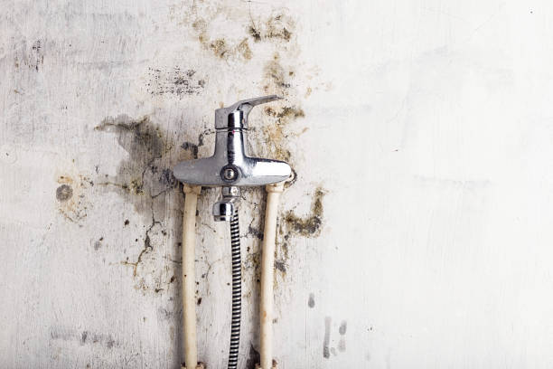 Best HVAC Mold Remediation in Bessemer, MI
