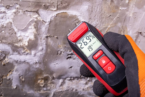 Best Basement Mold Remediation in Bessemer, MI