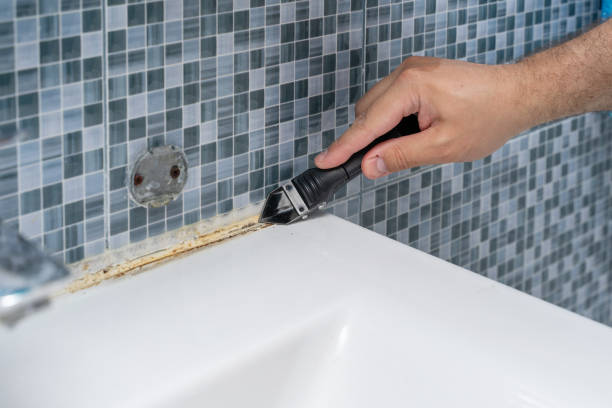 Best DIY Mold Remediation Support Services in Bessemer, MI